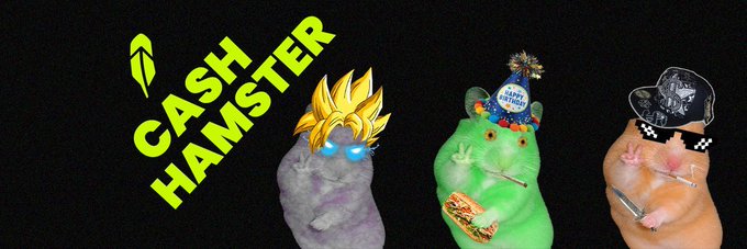 A playful image showing three real hamsters styled as 'Cash Hamster' characters, each wearing different accessories like a Super Saiyan wig, party hat, and checkered cap.