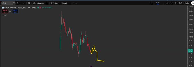 A stock chart shows 'Circle Internet Group, Inc. · 1W · NYSE' with a price of 4.93 (-4.82g), displaying significant downward price action.