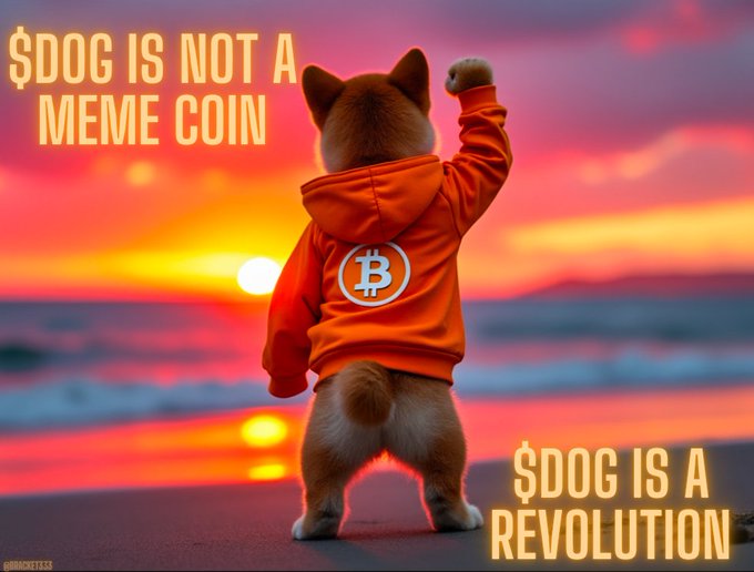 A Shiba Inu dog wearing an orange Bitcoin-logo hoodie stands on a beach with its fist raised toward a vibrant sunset, accompanied by the text "$DOG IS NOT A MEME COIN" and "$DOG IS A REVOLUTION," visually reinforcing the post's message by portraying the cryptocurrency as a serious, empowering movement rather than a joke.
