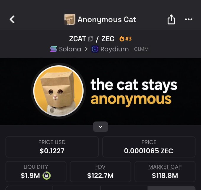 The image displays a cryptocurrency trading screen for "Anonymous Cat" (ZCAT) on the Solana/Raydium DEX, with a market cap of $118.8M and FDV of $122.7M, featuring the tagline "the cat stays anonymous." This supports the post's claim that ZCAT's market cap is one of the two tokens mentioned, aligning with the "100 million" figure referenced.