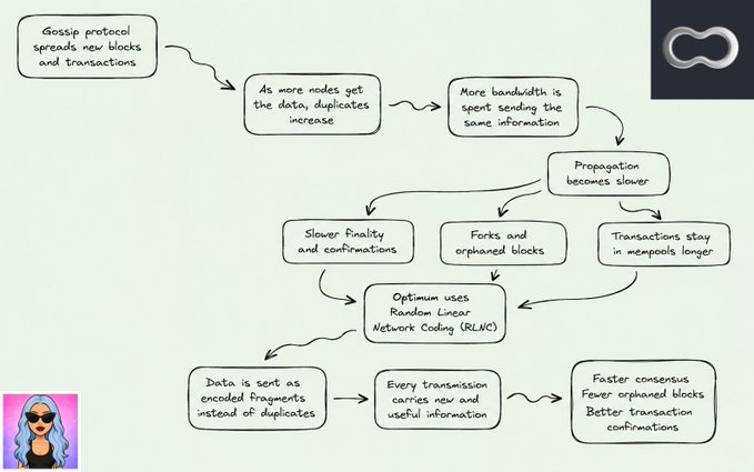 Flowchart explaining how gossip protocol inefficiencies lead to bandwidth issues and how Optimum uses Random Linear Network Coding (RLNC) to enable faster consensus.