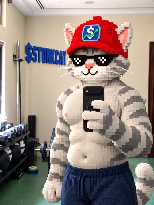 A 3D pixelated anthropomorphic gray cat wearing a red cap with a dollar sign logo, sunglasses, and blue shorts takes a mirror selfie with a smartphone. A sign reading "$STONKCAT" is mounted on the wall in a gym setting.