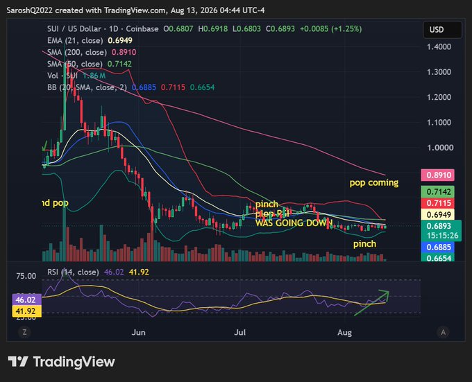 A TradingView chart of SUI/USD on Coinbase (1D timeframe, August 13, 2026) shows the price at $0.6893 with annotated squeezes labeled "pinch" near $0.7142 and a "pop coming" callout, alongside a notably bearish "WAS GOING DOWN" note. The RSI (14) sits at 46.02, with the lower panel showing a green upward arrow suggesting a potential bullish reversal consistent with the post's analysis of RSI curling higher around short-term support.
