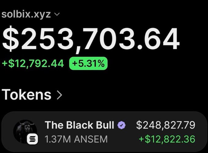 A screenshot of the wallet "solbix.xyz" shows a balance of $253,703.64 with a +$12,792.44 (+5.31%) gain, featuring a "The Black Bull" token holding of 1.37M ANSEM worth $248,827.79 (+$12,822.36), illustrating the post's claim of turning a small investment into massive profit.