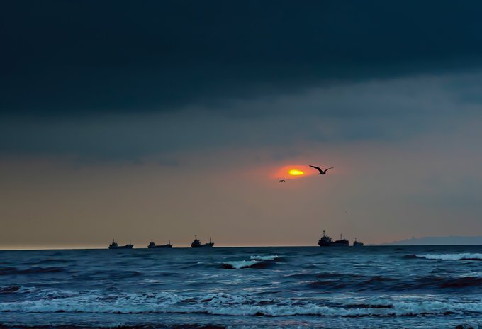 A tranquil seascape at dusk or dawn, with several cargo ships silhouetted along the horizon under a cloudy sky, while a bird flies near the glowing sun.