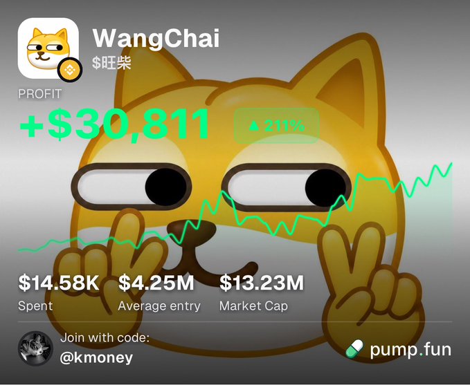 A screenshot from pump.fun shows a profit dashboard for the WangChai ($旺柴) meme coin featuring a smug cartoon dog (the classic Shiba Inu "cheems" style), displaying a profit of +$30,811 (▲211%) on $14.58K spent, with a $13.23M market cap and $4.25M average entry. The image visually supports the post's boast about strong returns on the BNB-based token, celebrating the Asian community driving its price action.