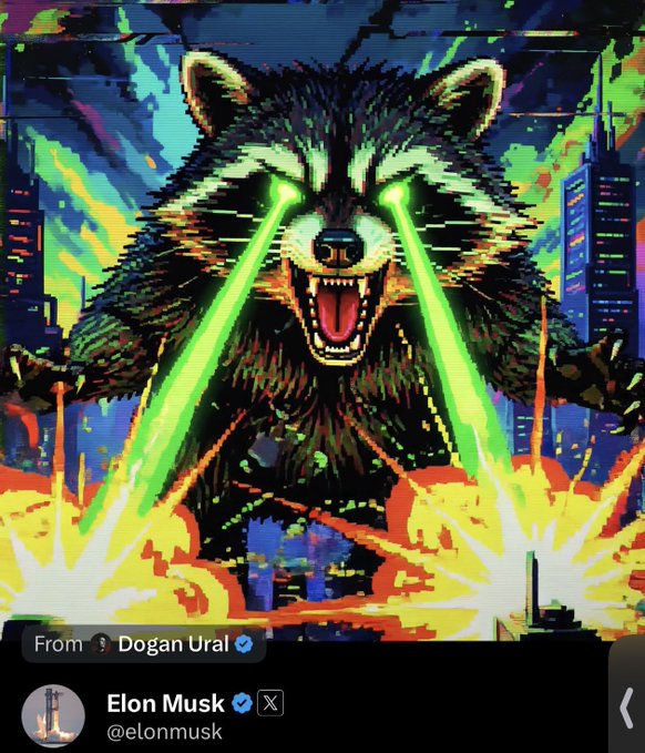 The picture shows a pixelated artwork of a snarling raccoon shooting neon green laser beams from its eyes amid explosions, with a forwarded post from Elon Musk (@elonmusk) visible at the bottom. The caption "Do you own $Jimothy?" plays on the meme's viral imagery, which Musk has shared before, likely referencing the raccoon-themed token as part of internet crypto culture.