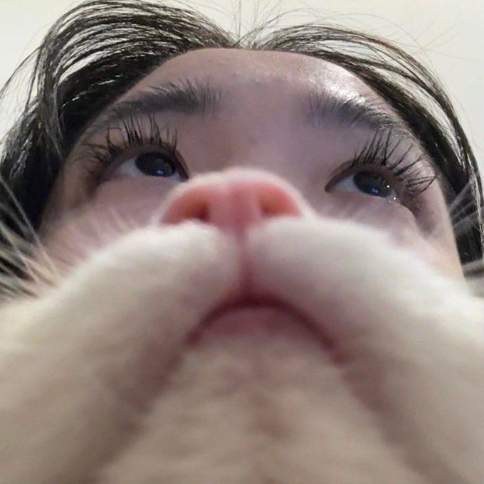 An extreme close-up selfie of a person's face from below, showing their eyes looking down at the camera with their hands near their face.