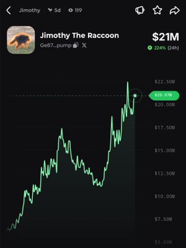 A cryptocurrency chart shows Jimothy The Raccoon (G487_pump) at $21M with a 224% daily gain, displaying a sharp upward price spike that aligns with the post's claim of a massive pump today.