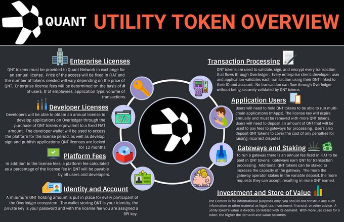 An infographic titled 'QUANT UTILITY TOKEN OVERVIEW' detailing sections on Enterprise Licenses, Transaction Processing, Application Users, Gateways and Staking, Investment and Store of Value, Identity and Account, Platform Fees, and Developer Licenses.