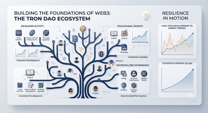An infographic titled "BUILDING THE FOUNDATIONS OF WEB3: THE TRON DAO ECOSYSTEM" illustrating a tree-like network of Developer Activity, Educational Growth, and Decentralized Governance, alongside "RESILIENCE IN MOTION" charts showing long-term development vs. market trends and ecosystem growth from Q1–Q4. The visual reinforces the post's message by framing TRX's sustained development, community learning, and decentralized participation as the roots of long-term resilience despite market volatility.