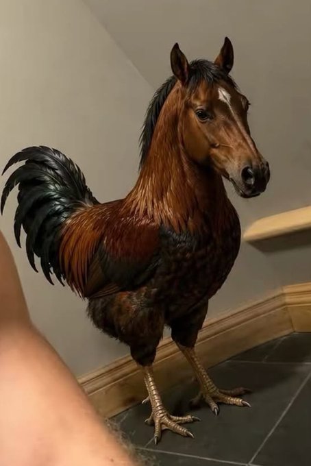 A surreal photo showing a creature that combines the head of a brown horse with the body of a rooster, standing on chicken legs inside a home.