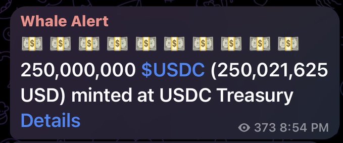 A "Whale Alert" notification showing that 250,000,000 $USDC (250,021,625 USD) was minted at the USDC Treasury, received 373 views at 8:54 PM. This aligns with the post noting significant new USDC issuance on Solana, contributing to the ~500M in new dollars issued that day as part of a roughly 1B $USDC weekly issuance rate.