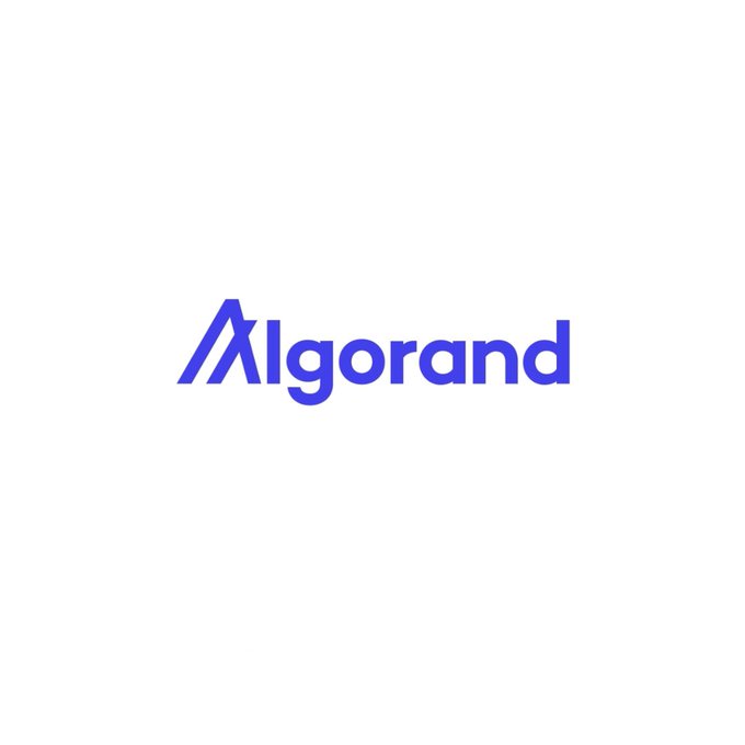 The image features a logo for a company named "Algorand". The logo consists of blue letters that spell out "Algorithand" against a white background. Below the logo, there's a caption that reads "BREAKING: Algorand receives an A-grade in Tectonic' blockchain quantum readiness assessment." This caption highlights the company's achievement and emphasizes their success in the field of blockchain technology.