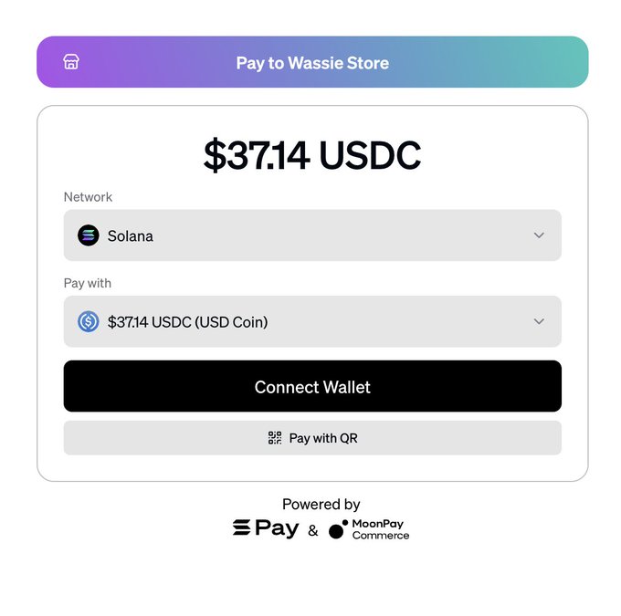A digital payment screen showing a transaction for '$37.14 USDC' to Wassie Store via the Solana network, with options to 'Connect Wallet' or 'Pay with QR,' powered by Pay and MoonPay Commerce.
