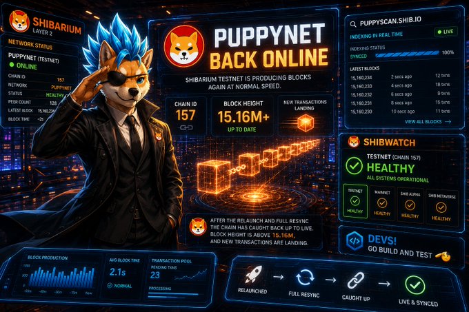 A dashboard titled "PUPPYNET BACK ONLINE" for the Shiba Inu ecosystem showing network status, indexer health at 100%, block height of 15.16M+, and a Shiba Inu character in a suit saluting.