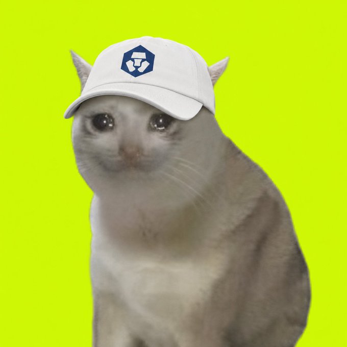 A sad-looking cat wearing a white Crypto.com cap is set against a bright yellow background, visually echoing the "we out here @cryptocom" caption by pairing the brand's logo with a dejected feline that humorously conveys a downcast mood.