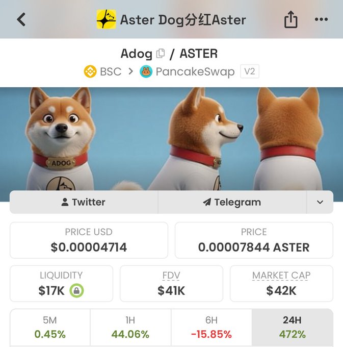 The image displays a cryptocurrency tracker page for the token "Adog" (Adog / ASTER) on PancakeSwap V2 via BSC, showing a price of $0.000004714 with a market cap of $42K and a dramatic 472% 24-hour increase, illustrating the volatile, high-risk token being promoted in the accompanying spam-style post.