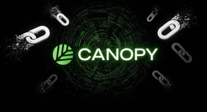 A digital graphic featuring the green 'CANOPY' logo centered on a dark background with a green concentric circle pattern, surrounded by floating chain link icons.