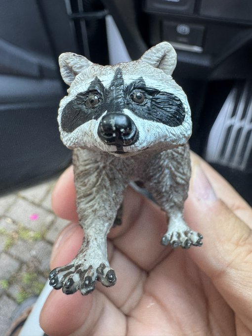 A small plastic raccoon figurine is held in a hand inside a vehicle, showing the creature's detailed gray and black coloring, large eyes, and small claws.