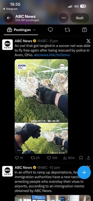 An ABC News Telegram post from 9 jam ago reporting: 'An owl that got tangled in a soccer net was able to fly free again after being rescued by police in Avon, Ohio,' accompanied by AVON Ohio police bodycam footage timestamps 08/24/2025 09:18:25 showing an owl in a net.