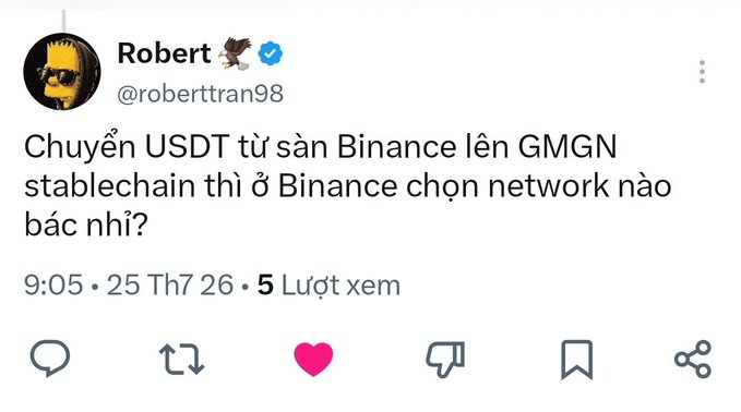 A tweet from user @roberttran98 (Robert) in Vietnamese asking which network to select on Binance when transferring USDT to GMGN stablechain, posted on 25 Th7 26 with 5 views.