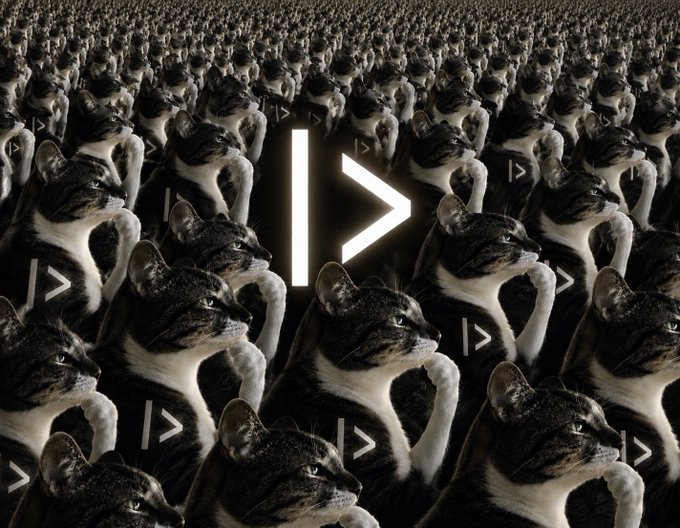 An army of identical black and white tabby cats wearing dark hoodies with a '>' symbol sits in rows, looking to the right, with a large glowing 'I>' symbol in the center.