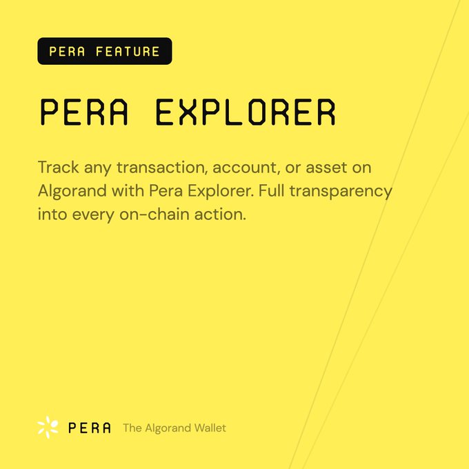 A yellow promotional graphic for 'PERA EXPLORER' by PERA, The Algorand Wallet, with text describing its ability to track transactions, accounts, and assets on Algorand.