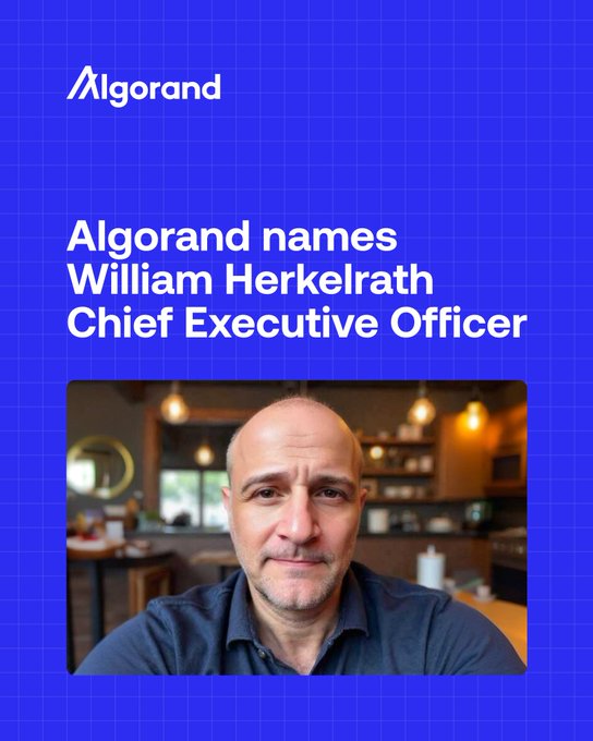 An Algorand announcement card on a blue background reading "Algorand names William Herkelrath Chief Executive Officer," featuring a photo of a bald man in a blue polo shirt.
