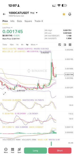 The image shows a Binance perpetual futures chart for 1000CATUSDT, with the meme coin priced at $0.001745 (+3.62%), displaying a recent pump followed by a sharp correction and pullback to the $0.001232 low, visually mirroring the post's comparison to $TST's pattern and supporting the "watching for bounce confirmation" technical analysis.