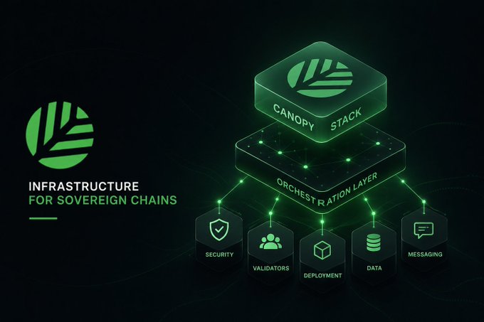 The image is a graphic representation of Infrastructure for Sovereign Chains, accompanied by a caption that reads "I keep coming back to the Tanssi IP move because it feels less like a headline and more like Canopy filling in a missing piece". The captions explain what each part of the visual represents.