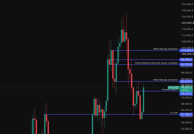A Bitcoin (BTCUSD) trading chart on a black background displays candlestick patterns with annotations including 'Weak fake gay resistance' at 102,406.0, 'Chad resistance that prob causes a pullback' at 96,456.2, 'Weak fake gay resistance' at 82,523.0, and 'It's over' at 61,380.1.