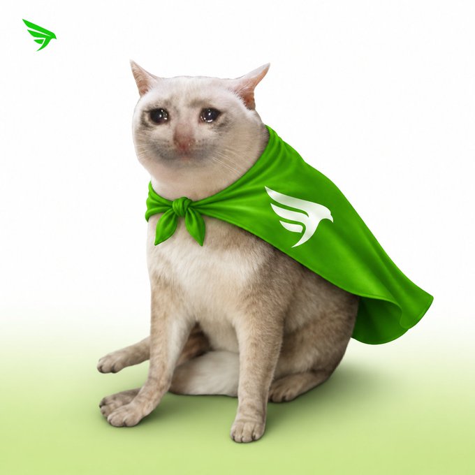 A light-colored cat sits against a white and pale green background, wearing a bright green superhero cape with a white bird-like logo, matching a logo in the top-left corner.