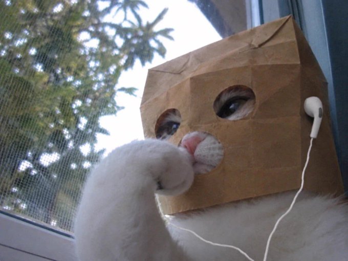A white cat wearing a brown paper bag over its head with ear holes and white earbuds stares contemplatively out a window at trees, humorously personifying the "deep thinking" about Zcash's price in a post-AGI society and the untapped potential of perpetual futures derivatives mentioned in the post.