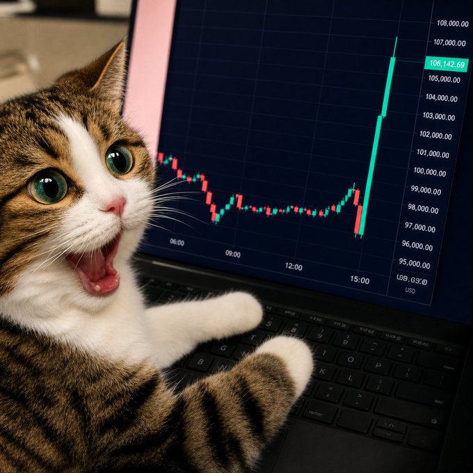 A surprised cat with an open mouth sits at a laptop displaying a candlestick chart, where a price breaks upward to 106,142.69 USD after sitting flat around 97,000–98,000 throughout the day. The sudden green spike mirrors the "$BR holders" meme, capturing the shock of a long-flat token unexpectedly surging.