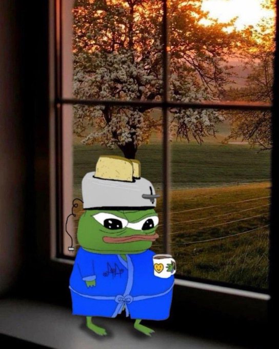 A cartoon Pepe the Frog character wearing a blue robe, white nightcap, and smoking a pipe stands by a window holding a mug, with a pastoral sunset scene visible outside.