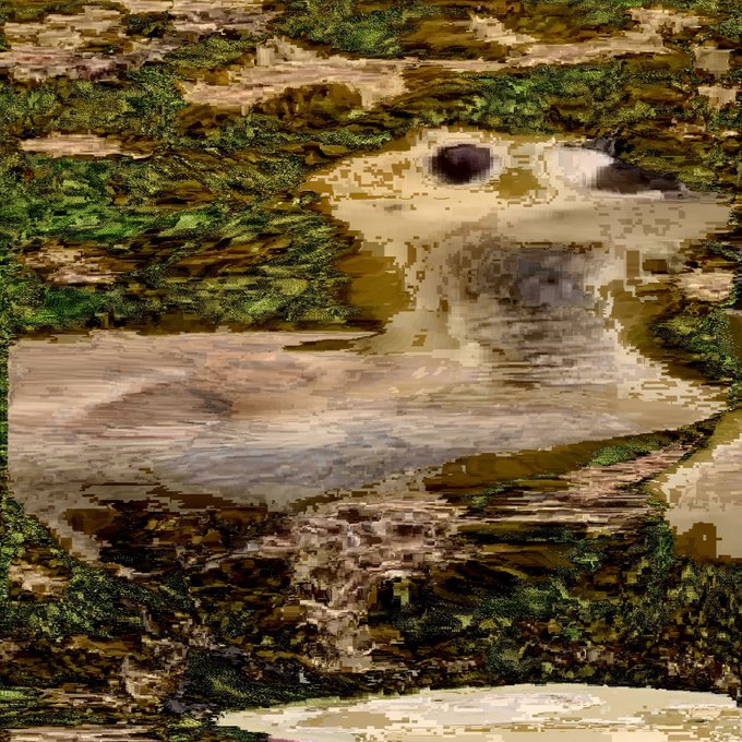 A heavily distorted, glitch-like image of a white bird with a prominent dark eye surrounded by mossy green and earthy brown textures. The visual artifacts and pixelation give it an eerie, otherworldly quality fitting the "_orb eyes_" caption.