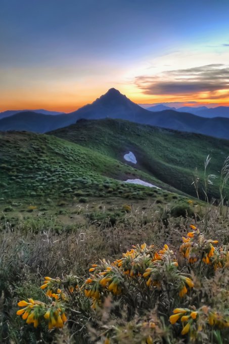 A scenic landscape at sunset shows a distant mountain peak rising above rolling green hills, with yellow wildflowers in the foreground and a warm orange and blue sky.