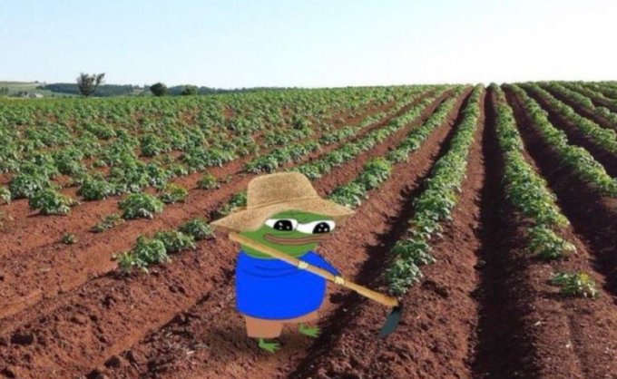 A Pepe the Frog cartoon character wearing a straw hat and blue shirt is hoeing rows in a vast agricultural field under a clear sky, serving as a playful visual metaphor for someone manually "digging up" or uncovering information about the 27 stablecoins categorized across the Solana ecosystem.