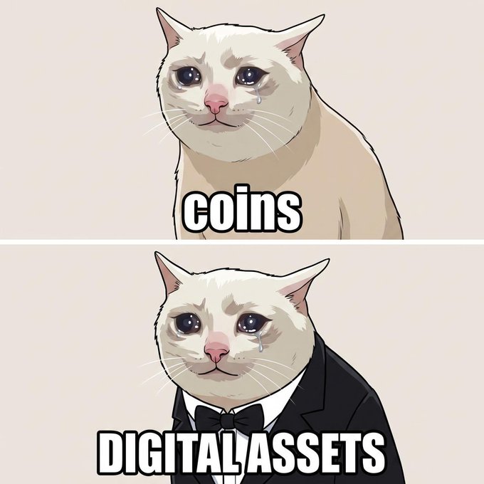 The image is a two-panel meme featuring a crying white cat, with the top panel labeled "coins" and the bottom panel showing the same cat dressed in a formal tuxedo labeled "DIGITAL ASSETS," humorously suggesting that digital assets are simply coins dressed up in fancier attire. This ties into the post "PUT THE CASH IN THE CAT $CASHCAT" by portraying the $CASHCAT token as the ultimate (and most endearing) form of currency.