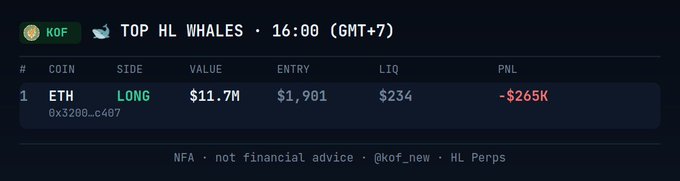 A dark-themed crypto trading dashboard titled 'TOP HL WHALES · 16:00 (GMT+7)' showing a LONG position on ETH with a value of $11.7M, entry at $1,901, $234 liquidated, and a PNL of -$265K, with a footer stating 'NFA · not financial advice'.