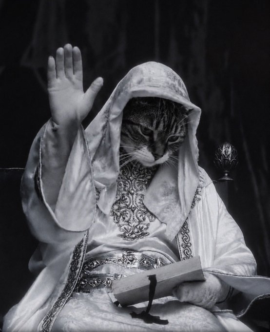 A humorous black-and-white edited photo of a tabby cat wearing an ornate hooded robe, raising one paw while holding a book in the other, posed like a wise sage.