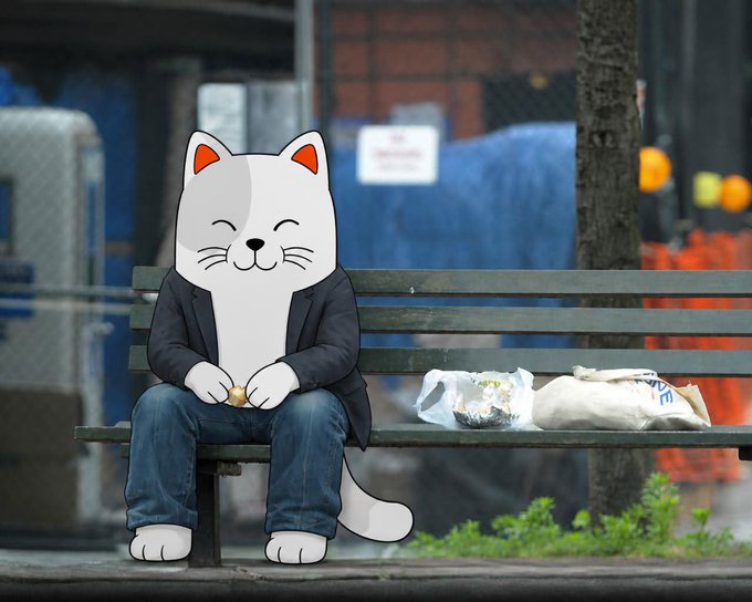A photograph of a person on a park bench is digitally edited with a smiling cartoon cat head and paws, with a plastic bag and white sack sitting on the bench beside them.