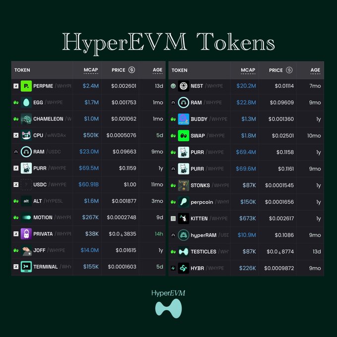 An infographic titled "HyperEVM Tokens" lists various cryptocurrency tokens with their market caps, prices, and ages, including PERME, EGG, PURR ($69.4M), USDC ($60.91B), and RAM.