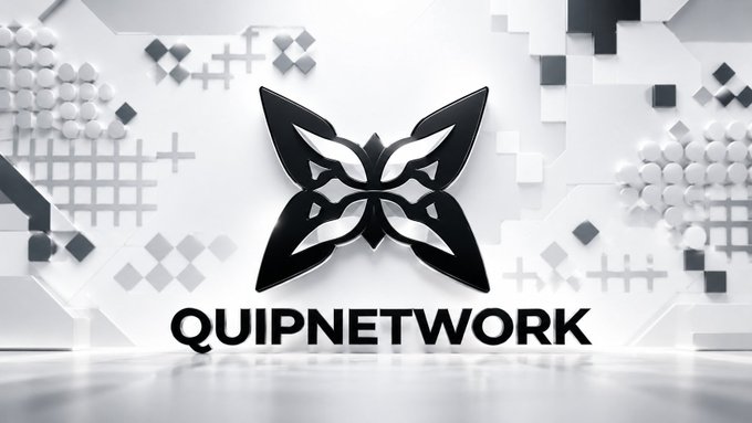 The QuipNetwork logo, featuring a black butterfly-like emblem with the text 'QUIPNETWORK' displayed against a white geometric background.