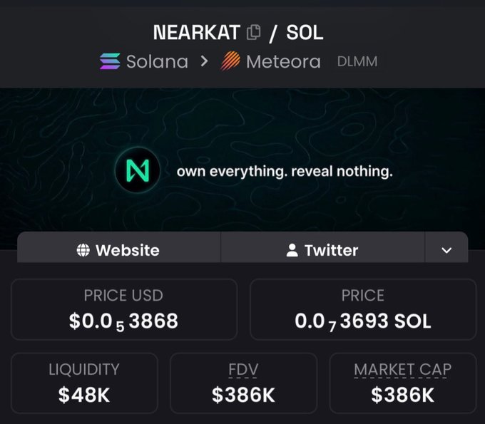 A cryptocurrency information screen displays details for the NEARKAT token on Solana via Meteora (DLMM), showing a price of $0.053868 USD and 0.073693 SOL, with $48K liquidity and a $386K market cap.