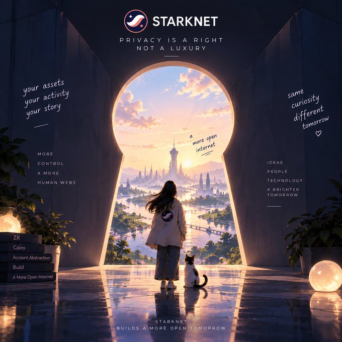 A Starknet promotional poster titled "PRIVACY IS A RIGHT NOT A LUXURY" featuring an anime-style illustration of a girl with a cat looking through a keyhole at a futuristic cityscape, with the tagline "STARKNET BUILDS A MORE OPEN TOMORROW."