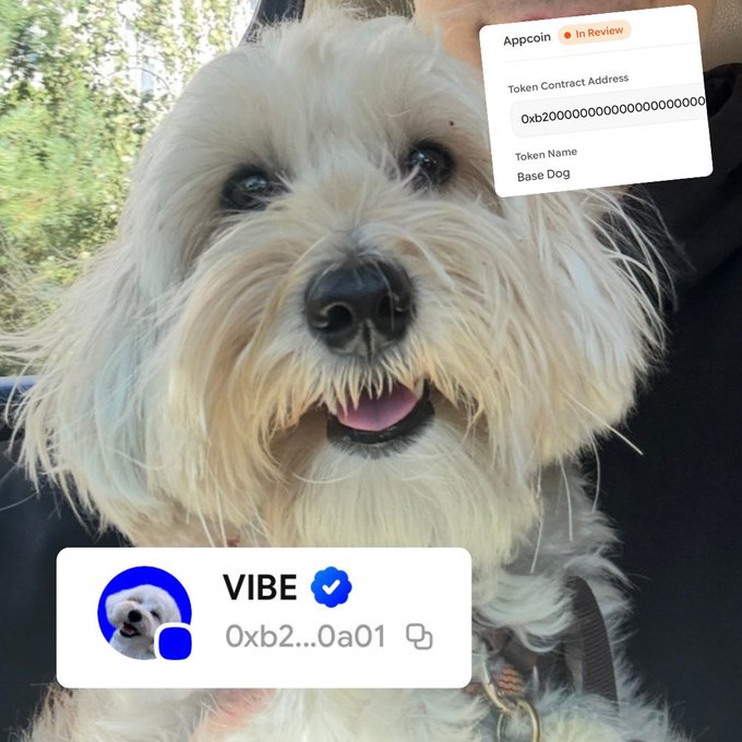 A close-up photo of a fluffy white dog overlaid with graphics showing a token profile for 'VIBE' and an 'Appcoin' called 'Base Dog' under review.