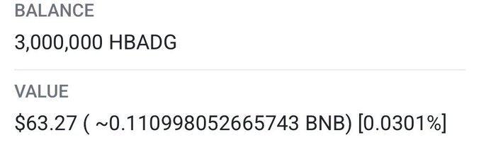 The image shows a balance of 3,000,000 HBADG valued at $63.27, directly supporting the claim in the post "3,000,000 $HBADG and a dream".