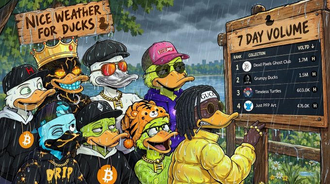 A cartoon illustration of various stylized duck characters wearing streetwear and crypto-themed accessories under a "NICE WEATHER FOR DUCKS" sign, looking at a "7 DAY VOLUME" leaderboard listing NFT collections like "Dead Pixelz Ghost Club" and "Grumpy Ducks".